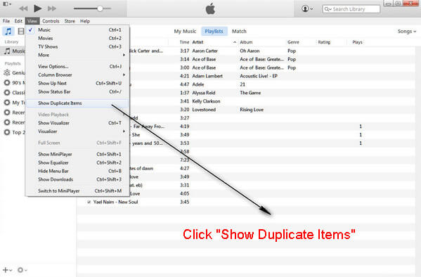 Show Duplicate Items