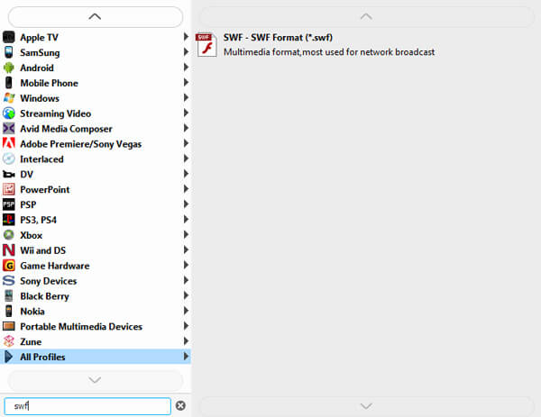 Choose SWF Format