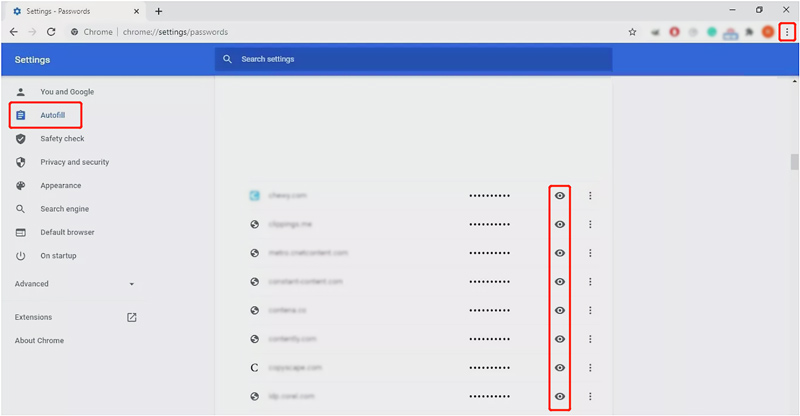 View AutoFill Passwords Chrome Computer