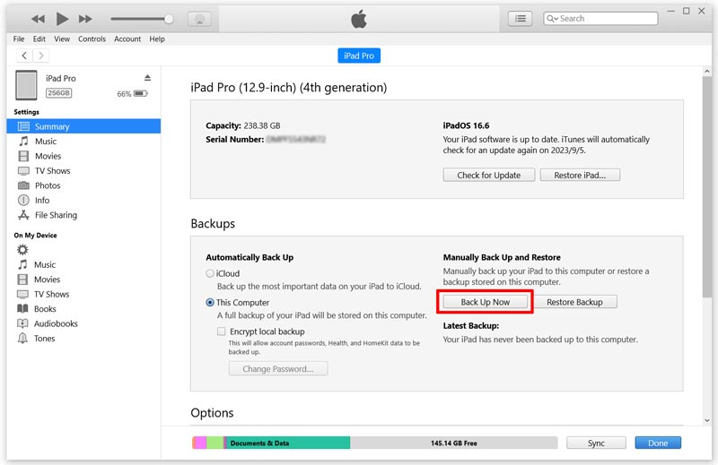 Backup iPad Pro Data Before Storing