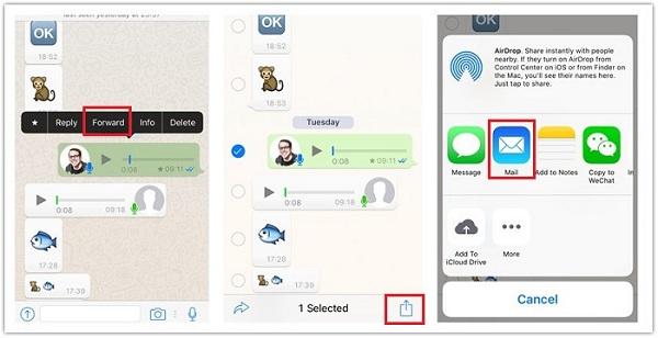 Save WhatsApp Audio iPhone