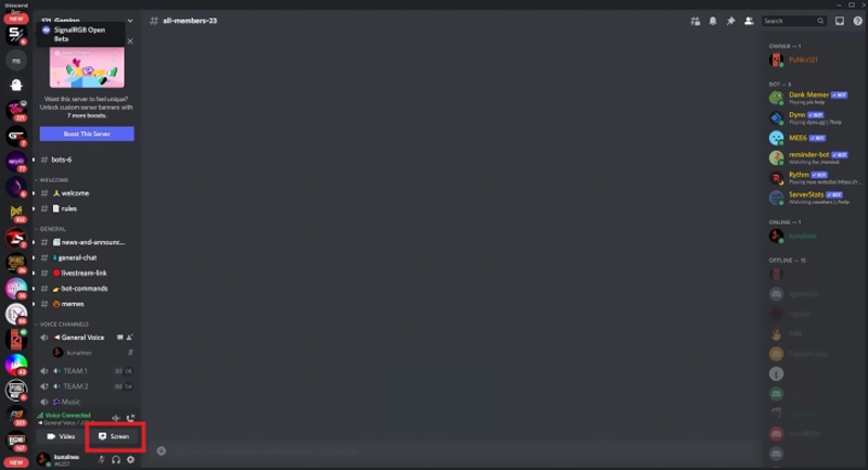 Discord Screen Share Button