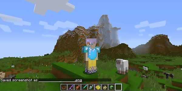 Screenshot in minecraft