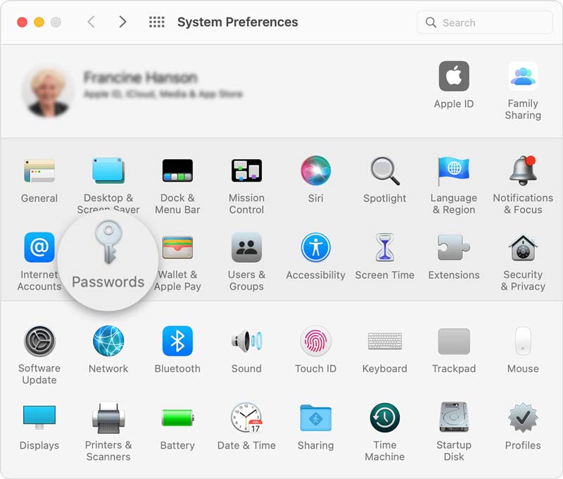 Mac System Preferences Passwords