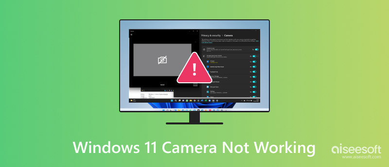 Windows 11 Camera Not Working