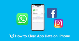 Clear App Data iPhone