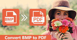 Convert BMP to PDF