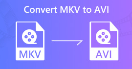 Convert MKV to AVI