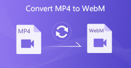 Convert MP4 to WebM