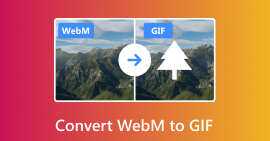 Convert WebM to GIF