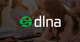 DLNA Payer