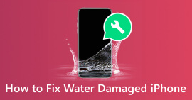 Fix Water Damaged iPhone