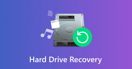 Hard Drive Recovery