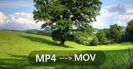 How to Convert MP4 to MOV