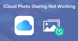 iCloud Photo Sharing not Working