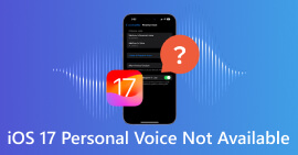 iOS 18/17 Personal Voice Not Available