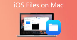 iOS Files on Mac