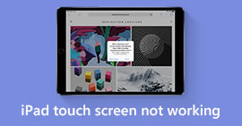 iPad Touch Screen Not Working
