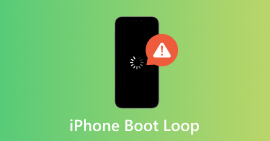 iPhone Boot Loop