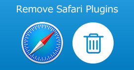 Remove Safari Plugins