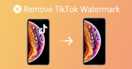 Remove TikTok Watermark