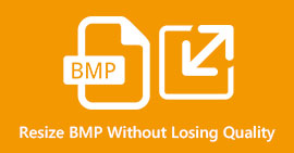 Resize BMP without Losing Quality