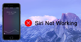 Siri Not Working