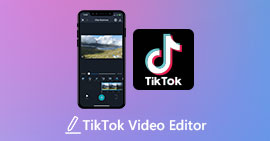 TikTok Video Editor