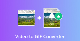 Video to GIF Converter