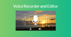 Voice Recorder and Editor