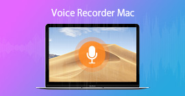 Voice Recorder Windows