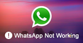 WhatsApp Not Working