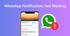 WhatsApp Notifications Not Working