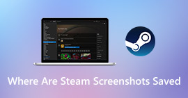 Steam Screenshot Folder