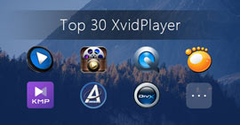 Xvid Player