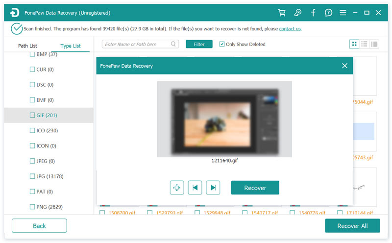 Fonepaw Data Recovery Preview Recover