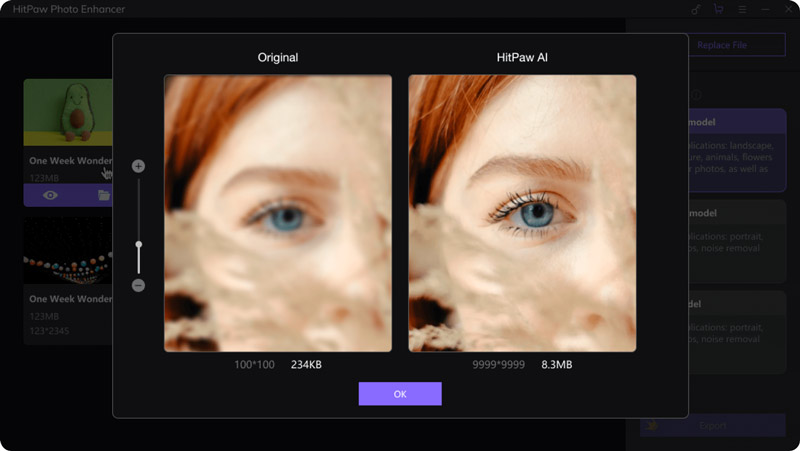 Use HitPaw Photo Enhancer to Upscale Image