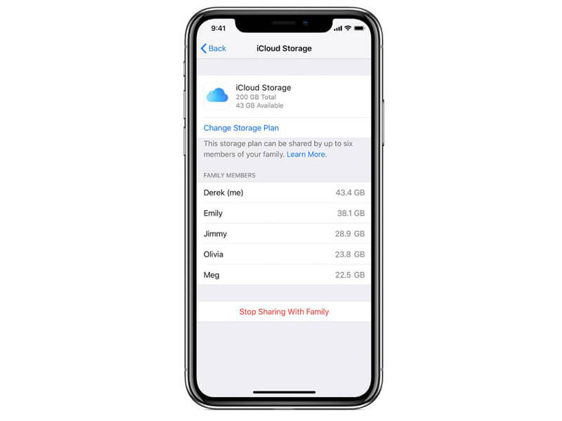 Manage iCloud family storage