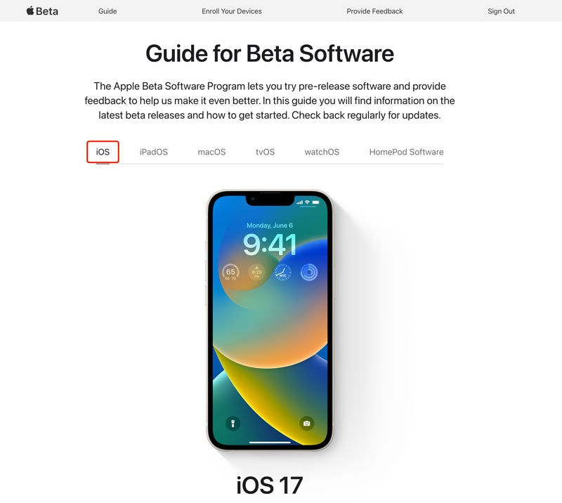 Guide for iOS 18/17 Beta Software