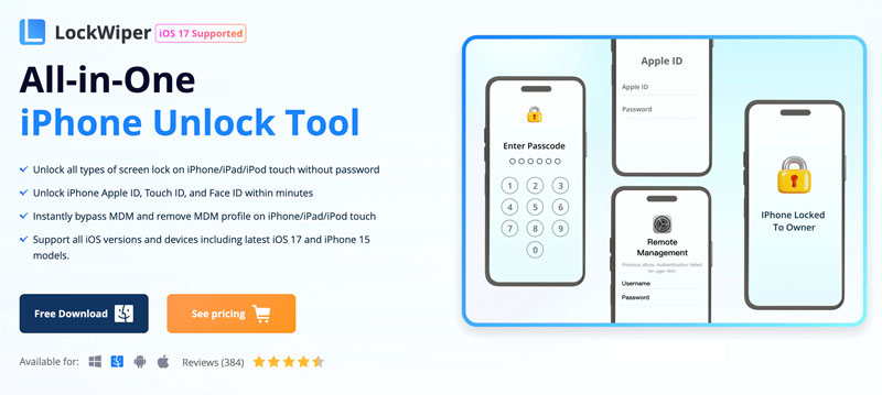 LockWiper iPad Unlock Software