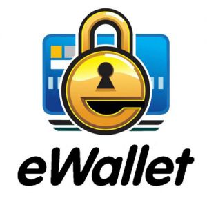 eWallet Icon