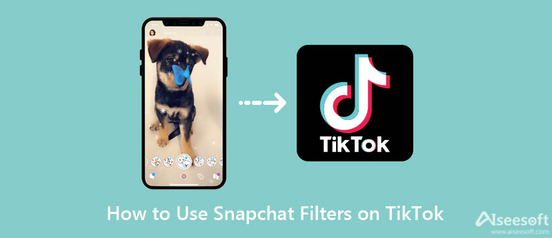 Use Snapchat Filters on TikTok