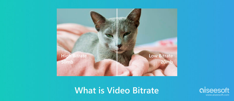 What is Video Bitrate