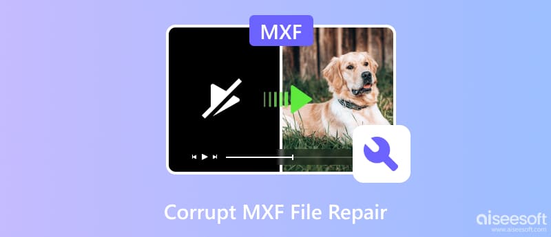 Corrupt MXF File Repair