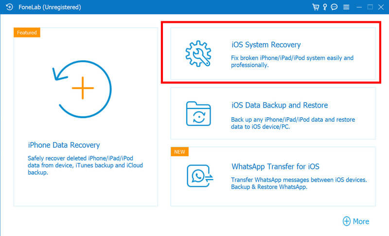 Open iOS System Recovery