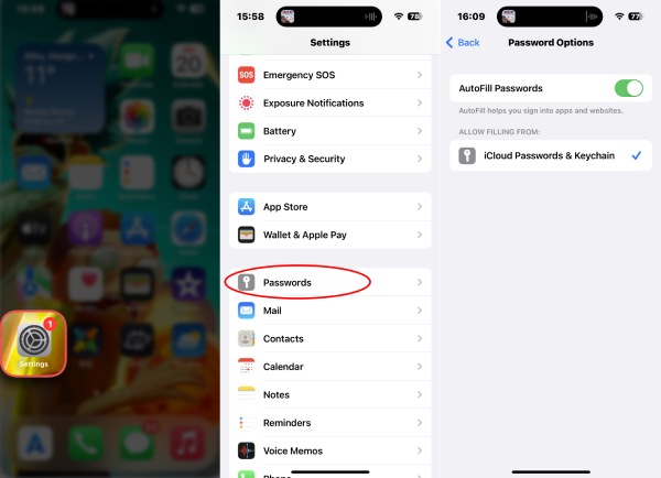 Enable AutoFill Password iPhone 14 Pro