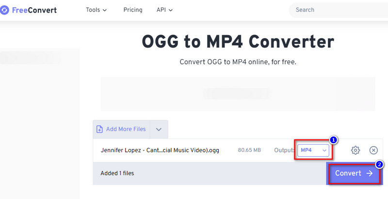 Free Convert MP4 Output and Convert